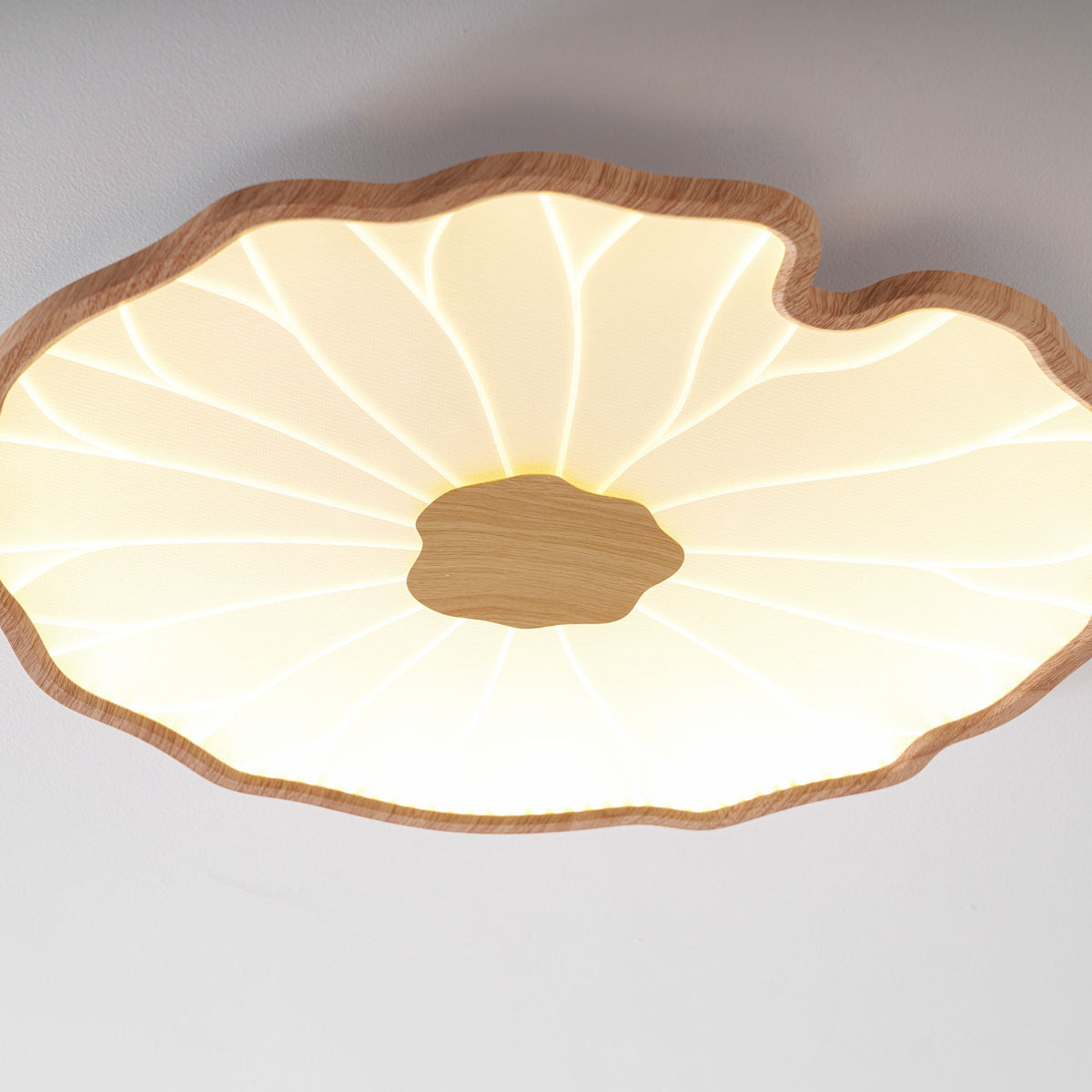 Acrylic Lotus Leaf Ceiling Lamp-Lighting > Ceiling Lights-casanuva-casanuva