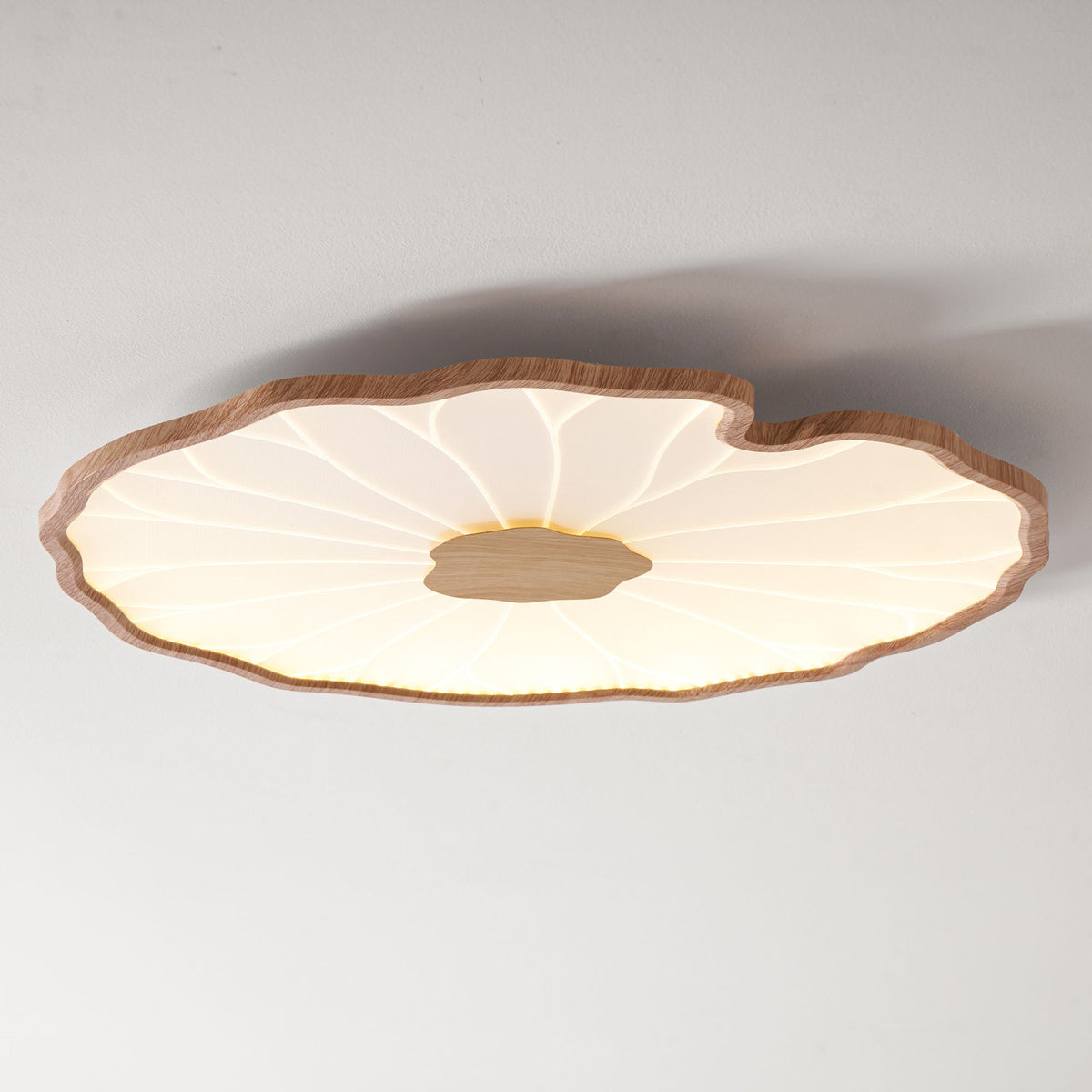 Acrylic Lotus Leaf Ceiling Lamp-Lighting > Ceiling Lights-casanuva-casanuva