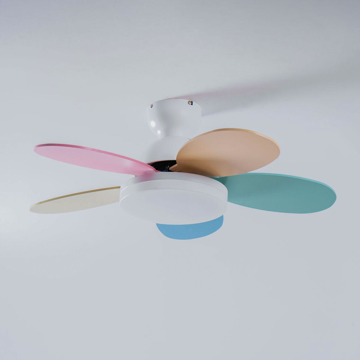 Ceiling Fan Light with Dimmable LED and Modern Design-Lighting > Ceiling Lights-casanuva-casanuva