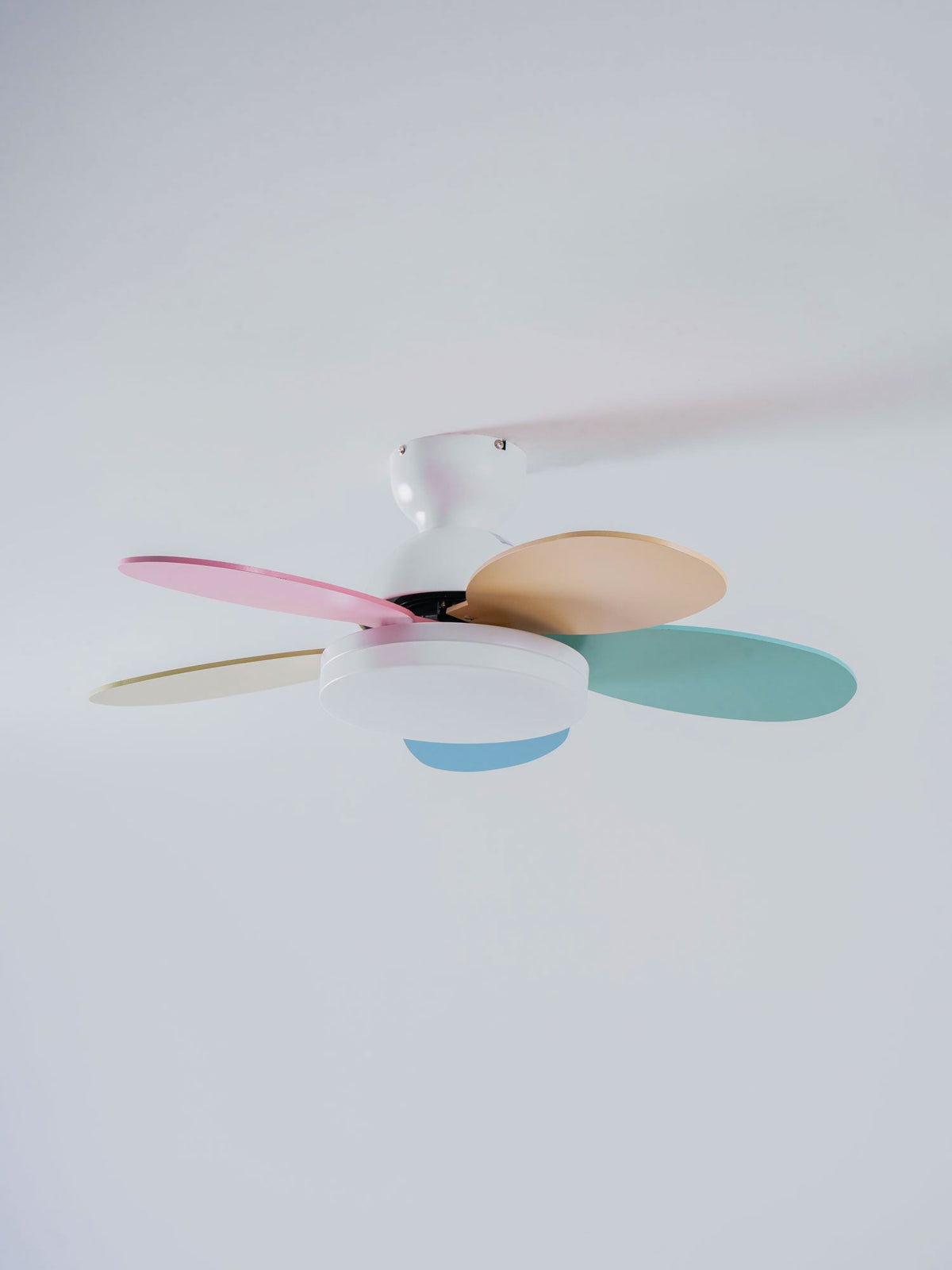 Ceiling Fan Light with Dimmable LED and Modern Design-Lighting > Ceiling Lights-casanuva-casanuva