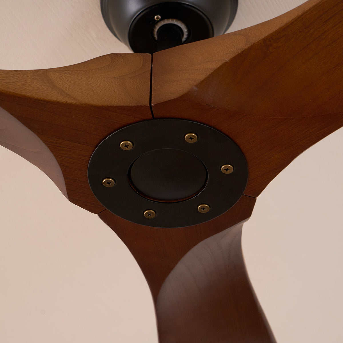 Ceiling Fan with Remote Control and Energy Efficient Design-Lighting > Ceiling Lights-casanuva-casanuva