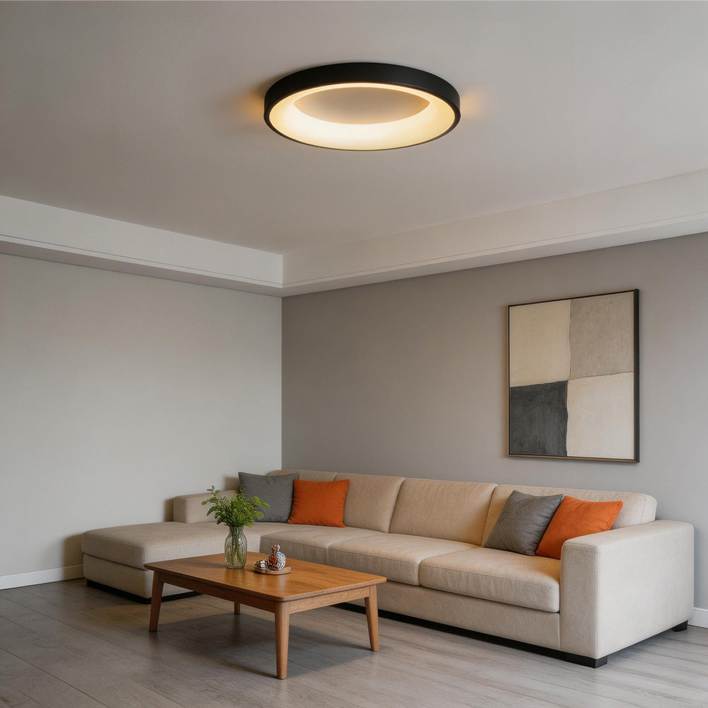Colorful LED Ceiling Light Simple Design-Lighting > Ceiling Lights-casanuva-Black-D30*H5CM-Warm Light-casanuva
