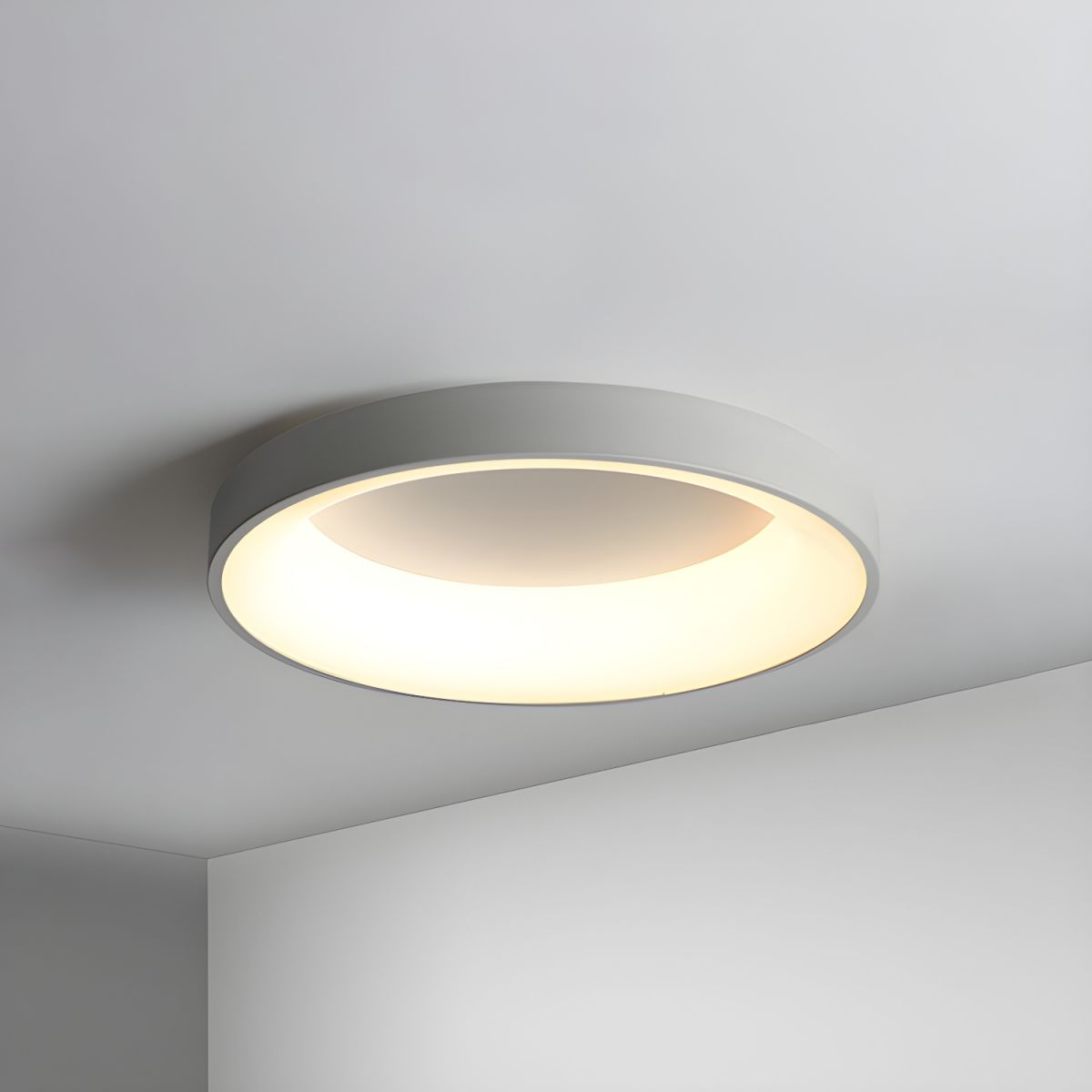 Colorful LED Ceiling Light Simple Design-Lighting > Ceiling Lights-casanuva-Gray-D50*H5CM-Dimmable (Remote)-casanuva
