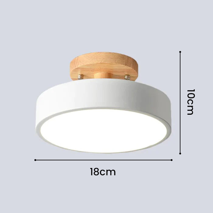Colorful LED Semi-flush Ceiling Light-Lighting > Ceiling Lights-casanuva-casanuva