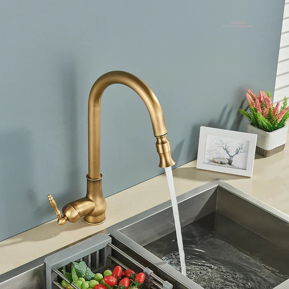 Kitchen Faucet Pull-Out Spray Retro Black Gold Finish-Kitchen & Dining > Kitchen Faucets-casanuva-casanuva