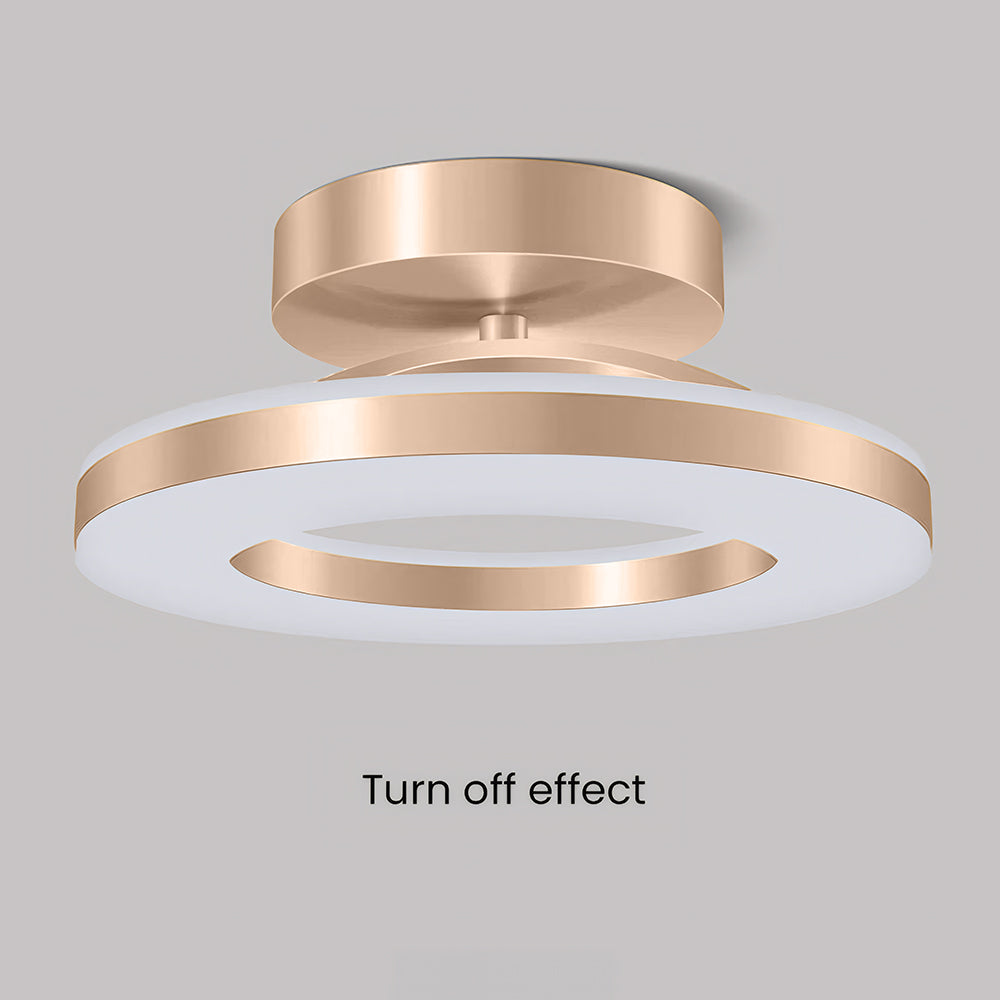 LED Ceiling Light Modern Iron Hallway Fixture-Lighting > Ceiling Lights-casanuva-casanuva