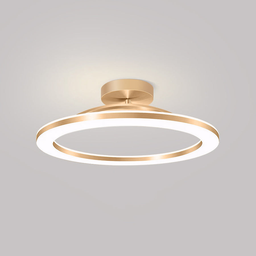 LED Ceiling Light Modern Iron Hallway Fixture-Lighting > Ceiling Lights-casanuva-Gold-D50*H8CM-White Light-casanuva