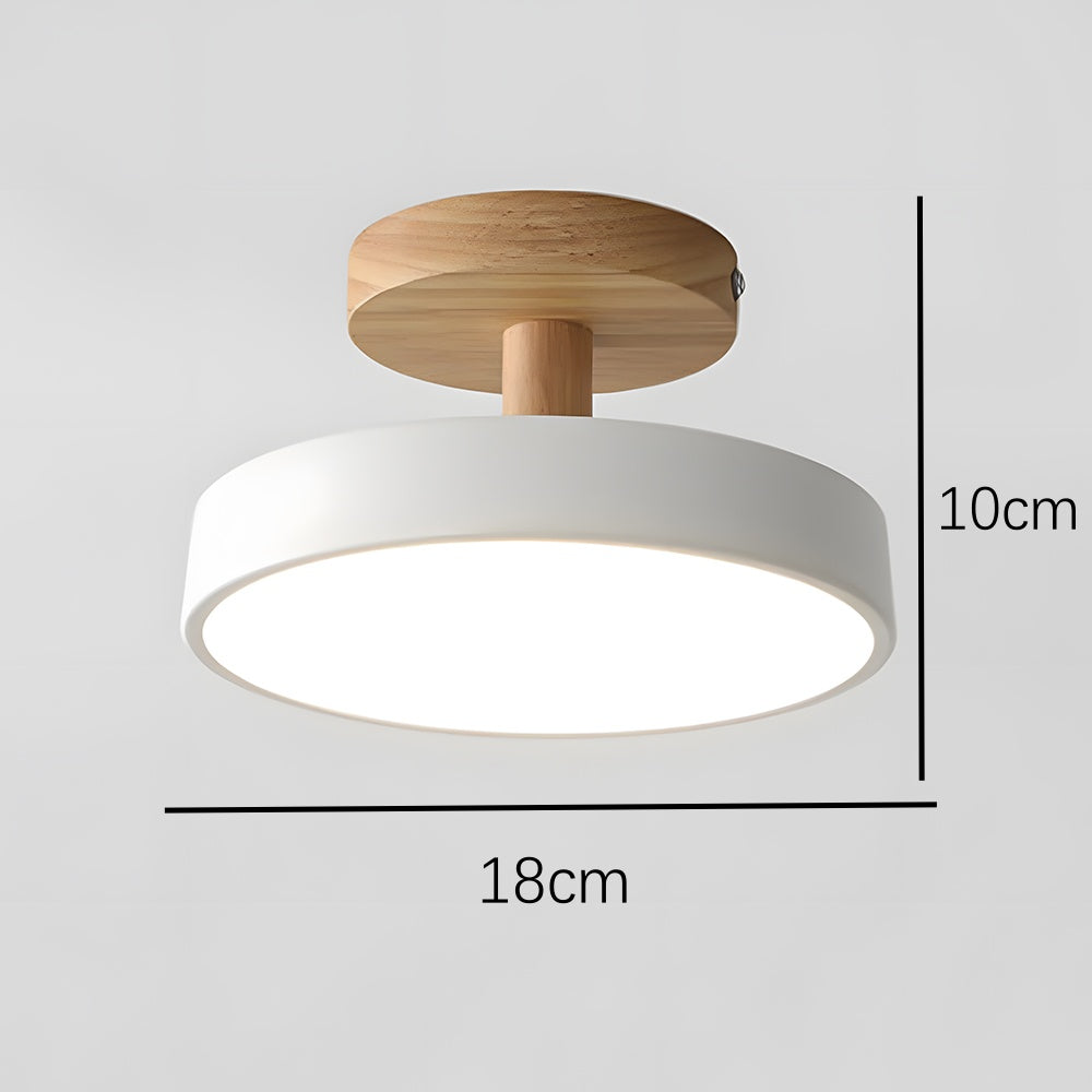 LED Round Ceiling Light for Hallway in Modern Iron Design-Lighting > Ceiling Lights-casanuva-casanuva