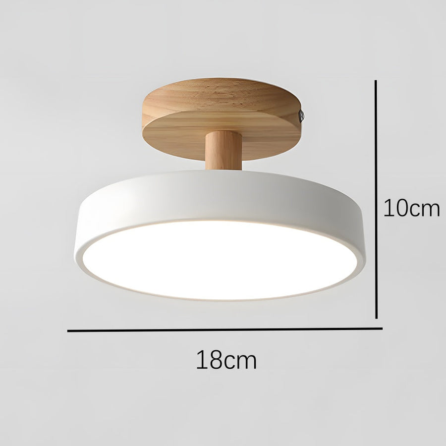 LED Round Ceiling Light for Hallway in Modern Iron Design-Lighting > Ceiling Lights-casanuva-casanuva