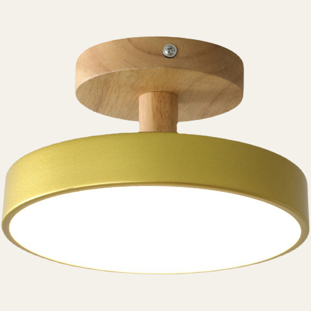 LED Round Ceiling Light for Hallway in Modern Iron Design-Lighting > Ceiling Lights-casanuva-casanuva