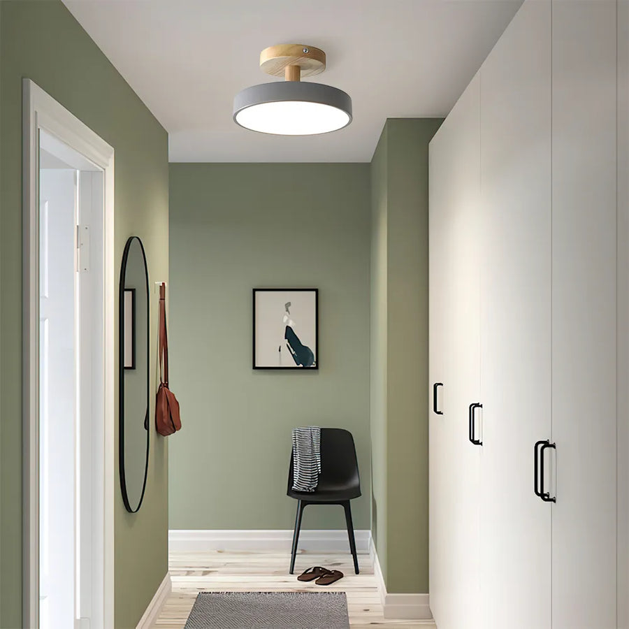 LED Round Ceiling Light for Hallway in Modern Iron Design-Lighting > Ceiling Lights-casanuva-Gray-D18cm*H10cm-Warm Light-casanuva