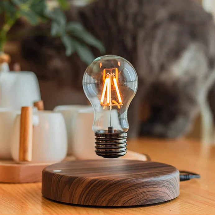 Magnetic Levitating Light Bulb Decorative Table Lamp-Lighting > Table Lamps-casanuva-casanuva
