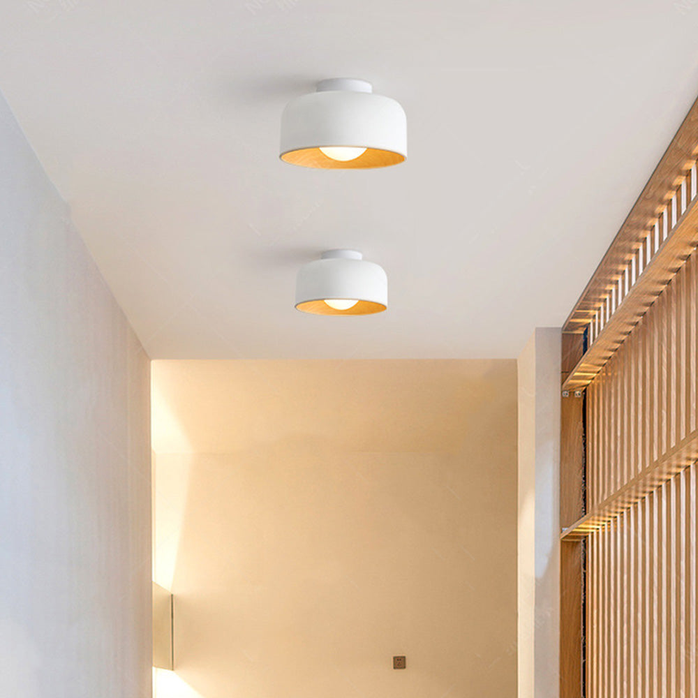 Metal Ceiling Light Fixture-Lighting > Ceiling Lights-casanuva-White-D22*H13CM-1 Piece-casanuva