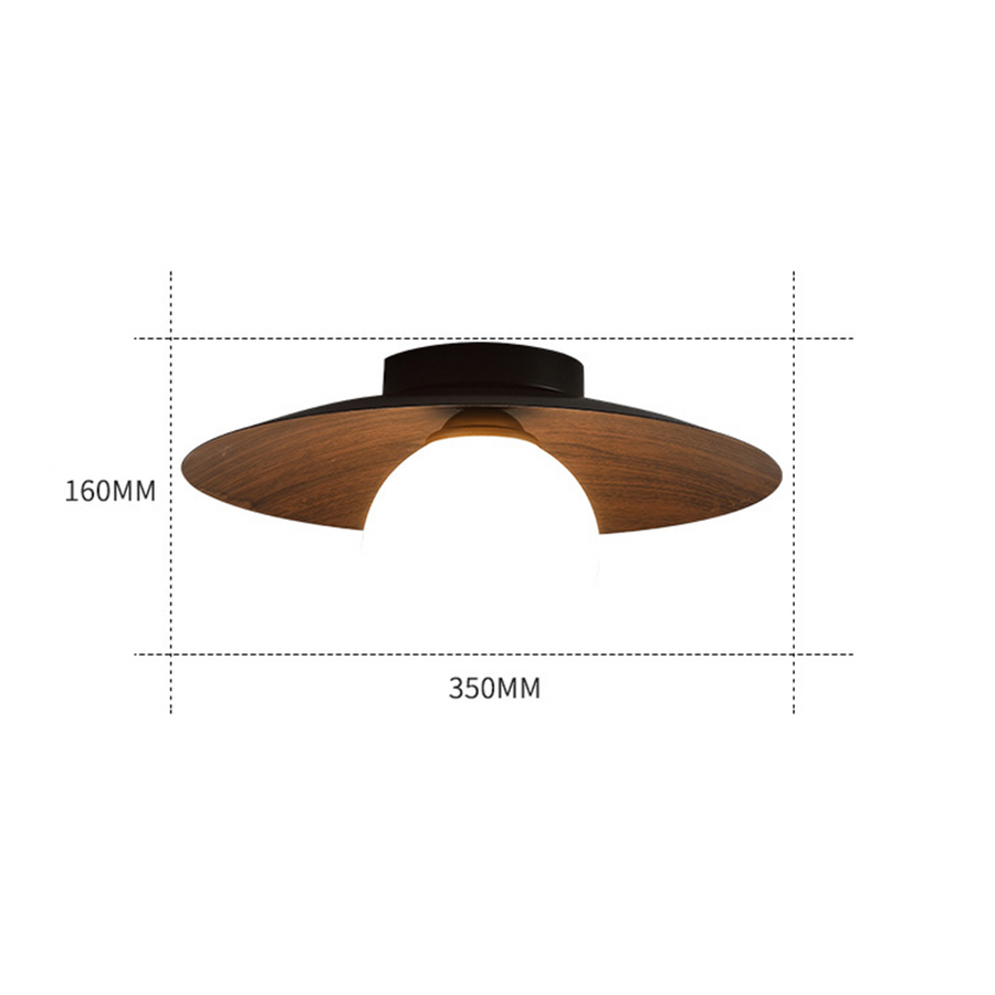 Minimalist Ceiling Light Fixture for Modern Entrances-Lighting > Ceiling Lights-casanuva-casanuva