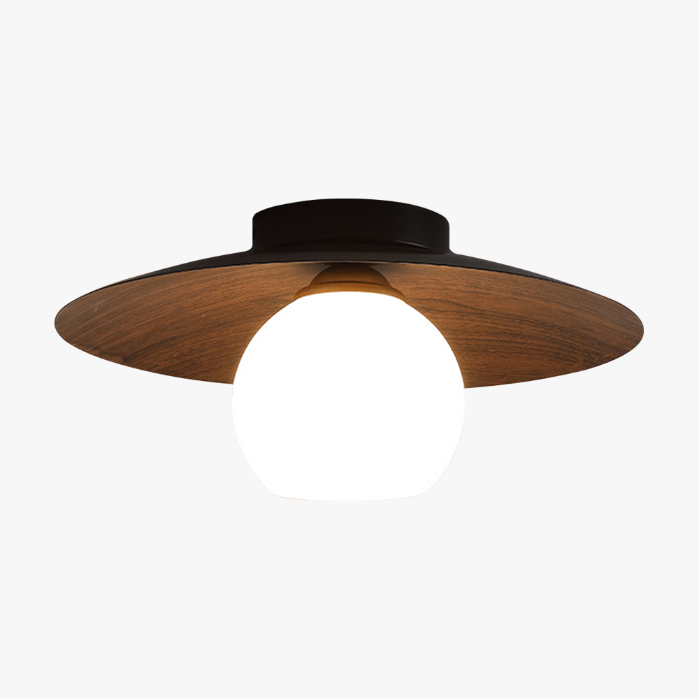Minimalist Ceiling Light Fixture for Modern Entrances-Lighting > Ceiling Lights-casanuva-casanuva