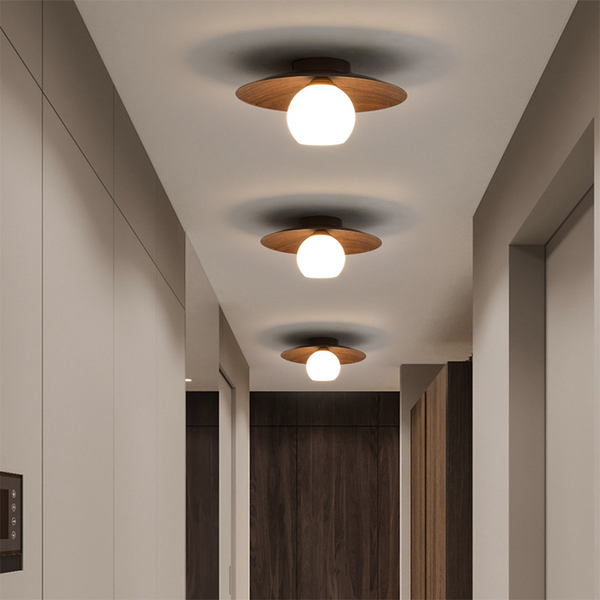 Minimalist Ceiling Light Fixture for Modern Entrances-Lighting > Ceiling Lights-casanuva-casanuva
