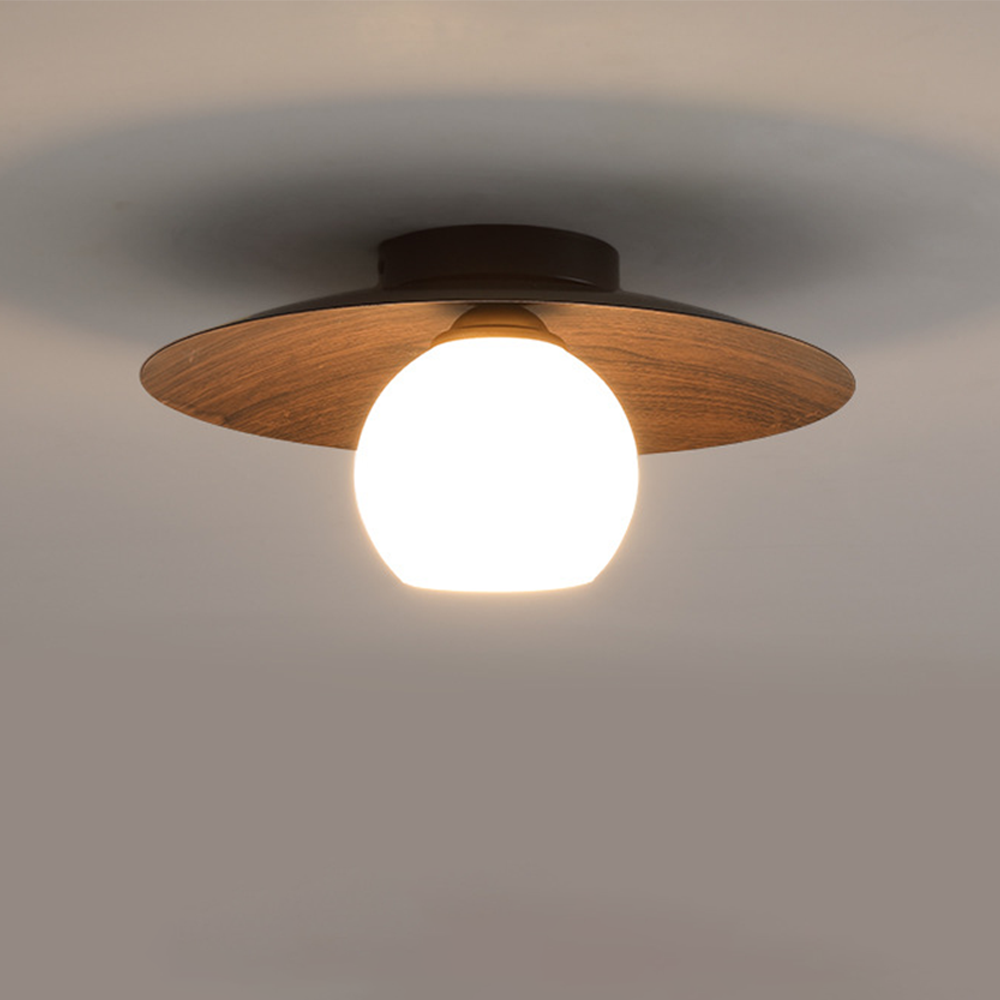 Minimalist Ceiling Light Fixture for Modern Entrances-Lighting > Ceiling Lights-casanuva-casanuva