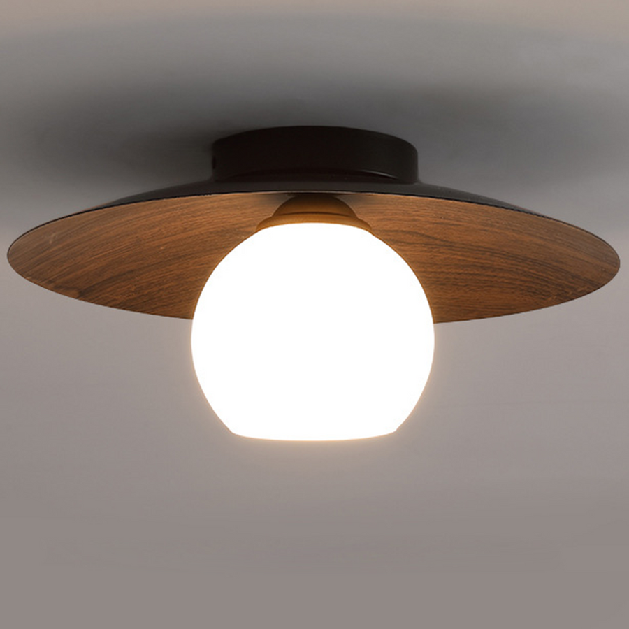 Minimalist Ceiling Light Fixture for Modern Entrances-Lighting > Ceiling Lights-casanuva-casanuva