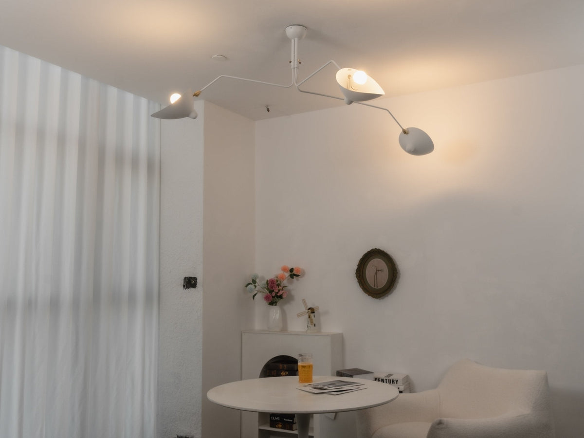 Multi-Arm Spider Ceiling Light Fixture-Lighting > Ceiling Lights-casanuva-casanuva