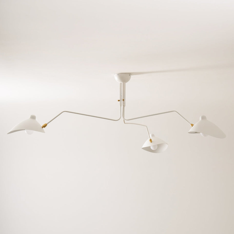 Multi-Arm Spider Ceiling Light Fixture-Lighting > Ceiling Lights-casanuva-casanuva