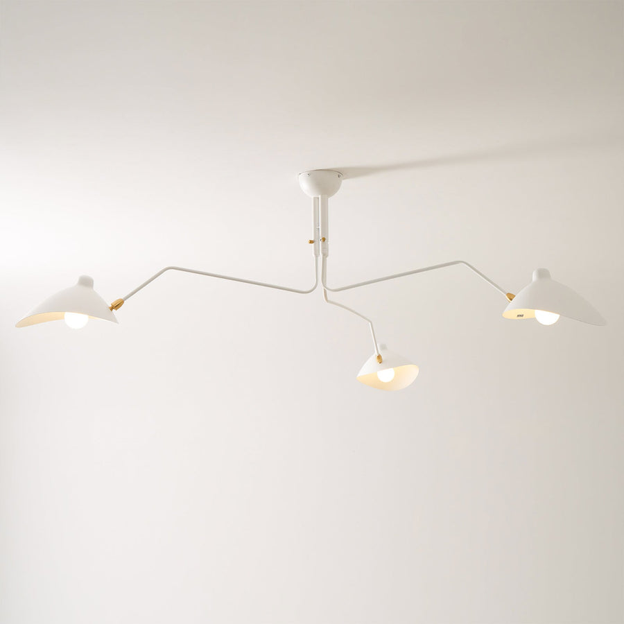 Multi-Arm Spider Ceiling Light Fixture-Lighting > Ceiling Lights-casanuva-casanuva