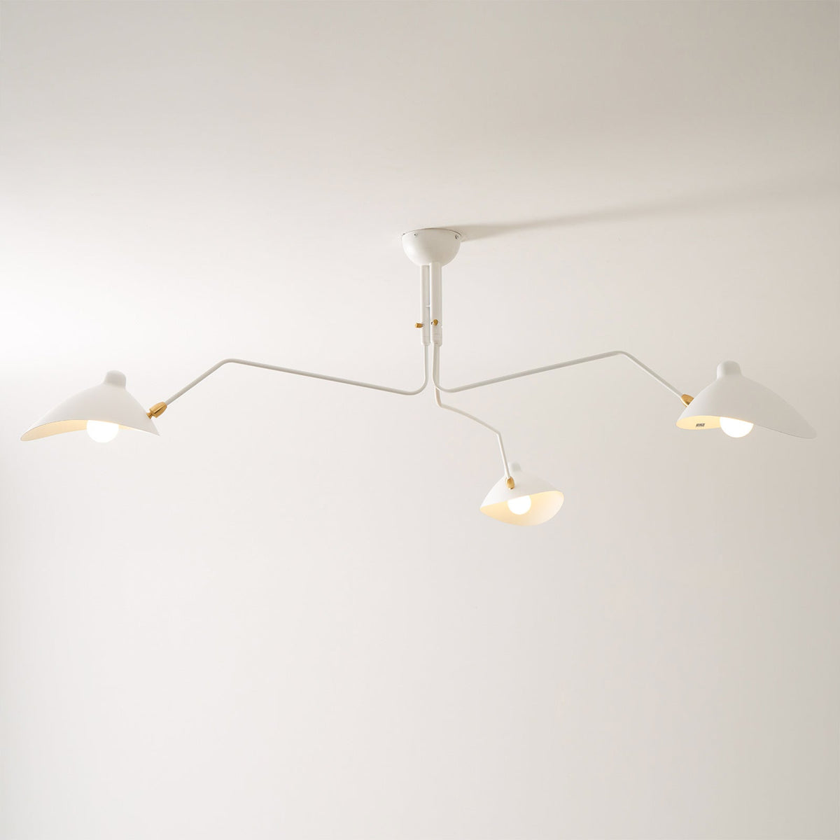 Multi-Arm Spider Ceiling Light Fixture-Lighting > Ceiling Lights-casanuva-casanuva