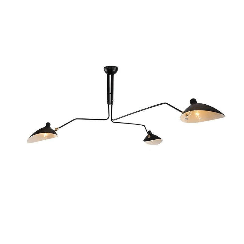 Multi-Arm Spider Ceiling Light Fixture-Lighting > Ceiling Lights-casanuva-casanuva