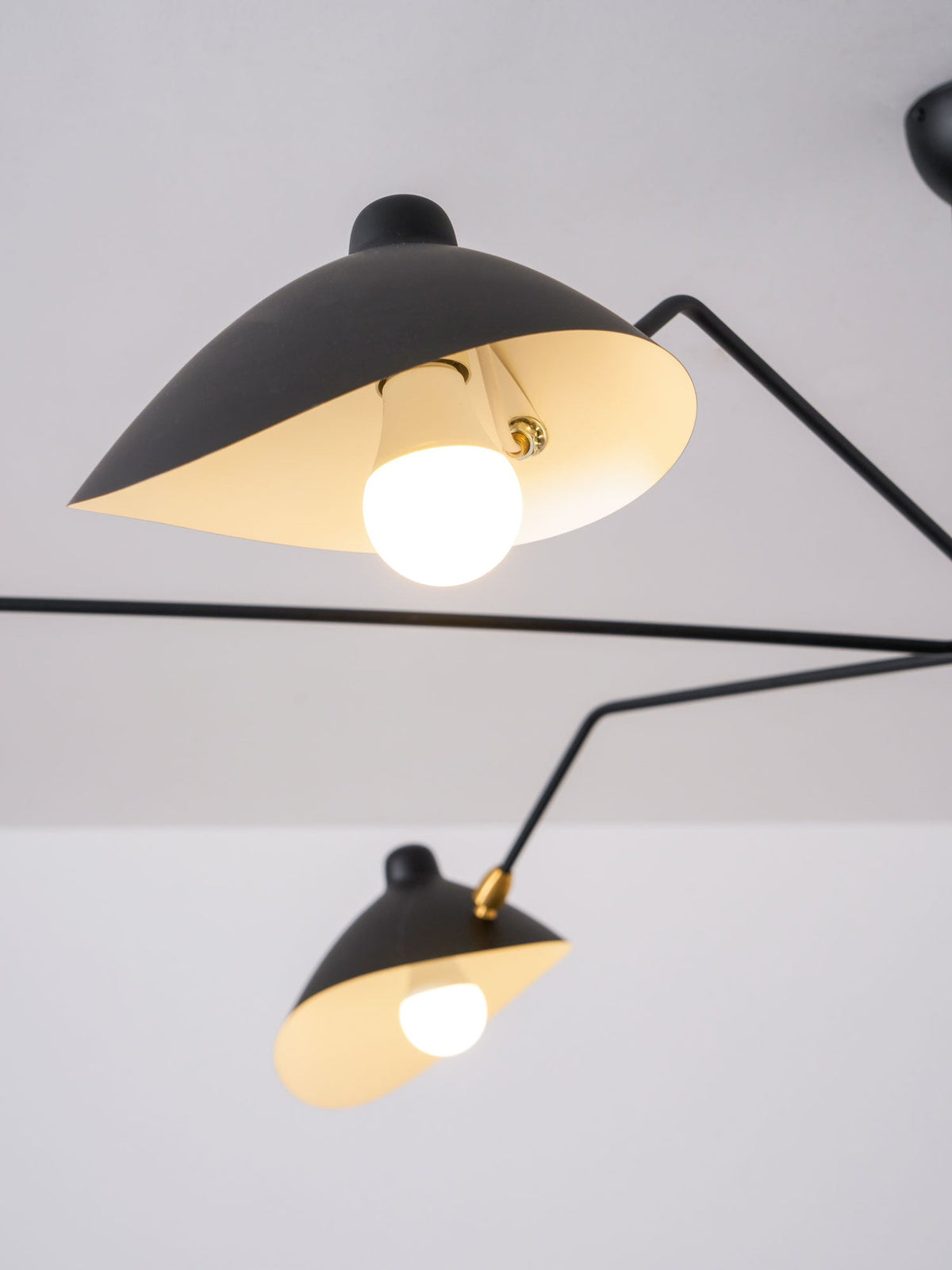 Multi-Arm Spider Ceiling Light Fixture-Lighting > Ceiling Lights-casanuva-casanuva