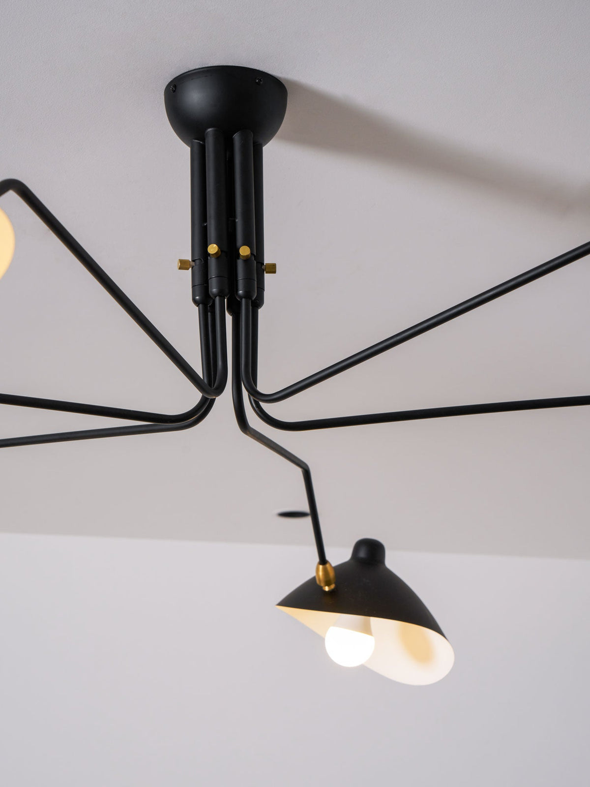 Multi-Arm Spider Ceiling Light Fixture-Lighting > Ceiling Lights-casanuva-casanuva