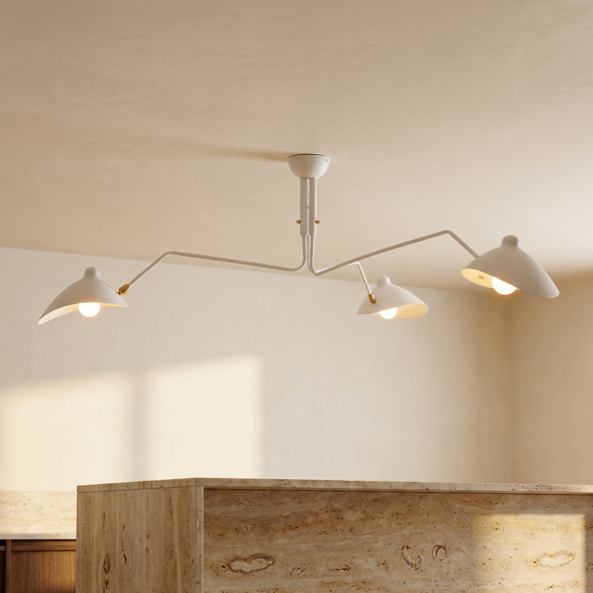 Multi-Arm Spider Ceiling Light Fixture-Lighting > Ceiling Lights-casanuva-casanuva