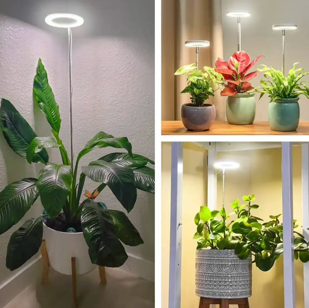 Plant Lamp Full Spectrum Adjustable Stand-Lighting > Table Lamps-casanuva-casanuva