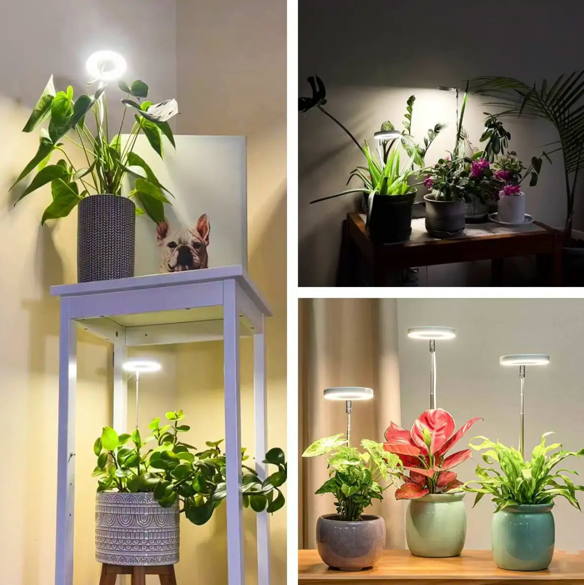 Plant Lamp Full Spectrum Adjustable Stand-Lighting > Table Lamps-casanuva-casanuva