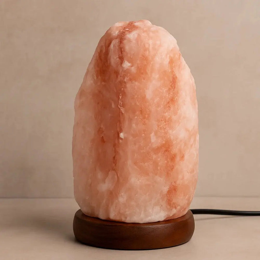 Salt Lamp Shamanic Purification Natural Himalayan Crystal-Lighting > Ambient Lighting-casanuva-casanuva