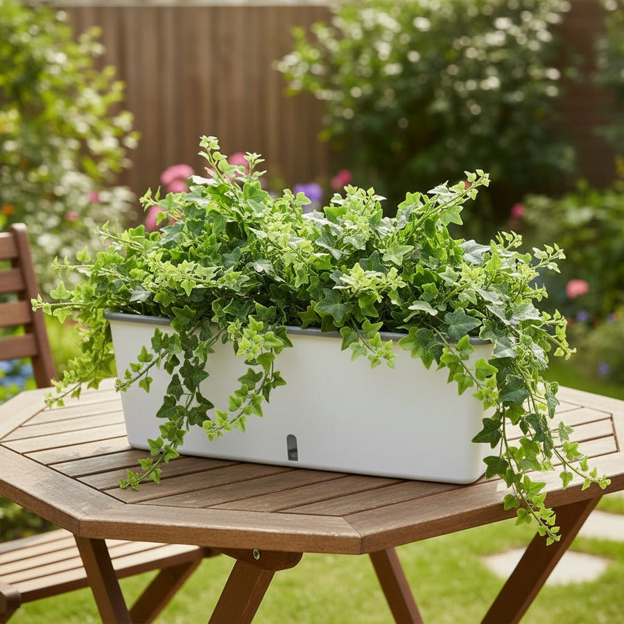 Self-Watering Plant Container for Continuous Moisture Control-Home Decor > Decorative Accessories-casanuva-casanuva