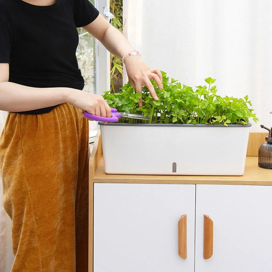 Self-Watering Plant Container for Continuous Moisture Control-Home Decor > Decorative Accessories-casanuva-casanuva