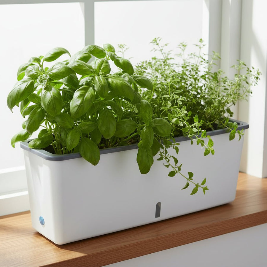 Self-Watering Plant Container for Continuous Moisture Control-Home Decor > Decorative Accessories-casanuva-White-casanuva