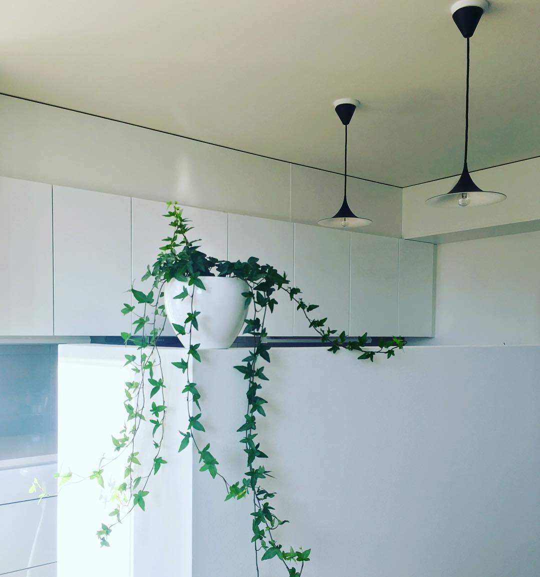 Semi Flush Mount Pendant Light-Lighting > Pendant Lights-casanuva-casanuva