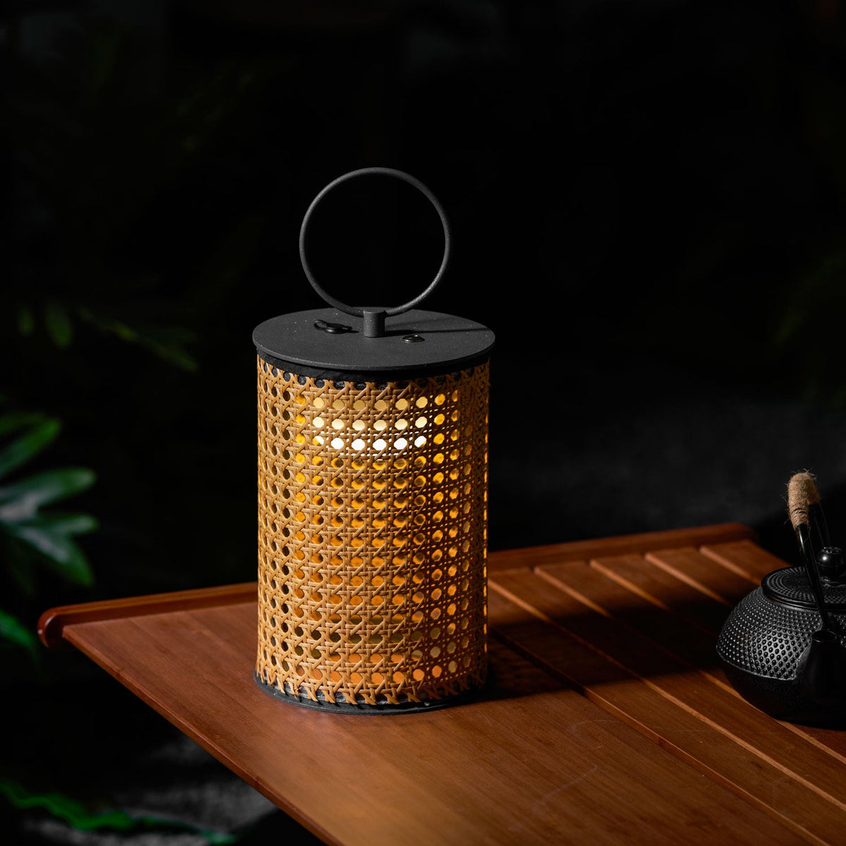 Solar Outdoor Lantern Lamp-Lighting > Outdoor Lighting-casanuva-casanuva