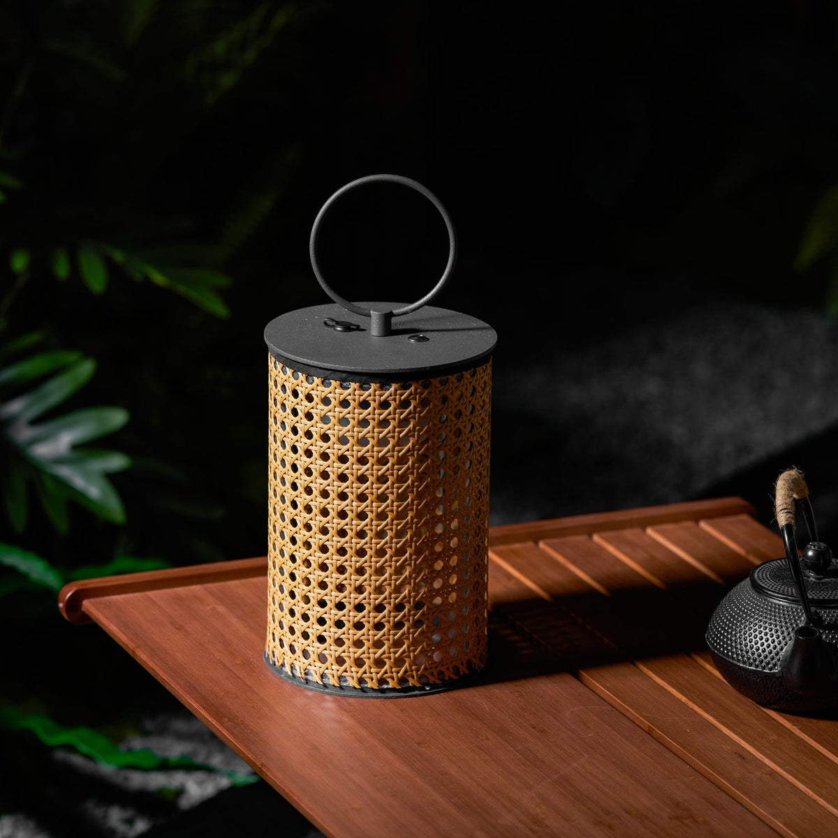 Solar Outdoor Lantern Lamp-Lighting > Outdoor Lighting-casanuva-casanuva