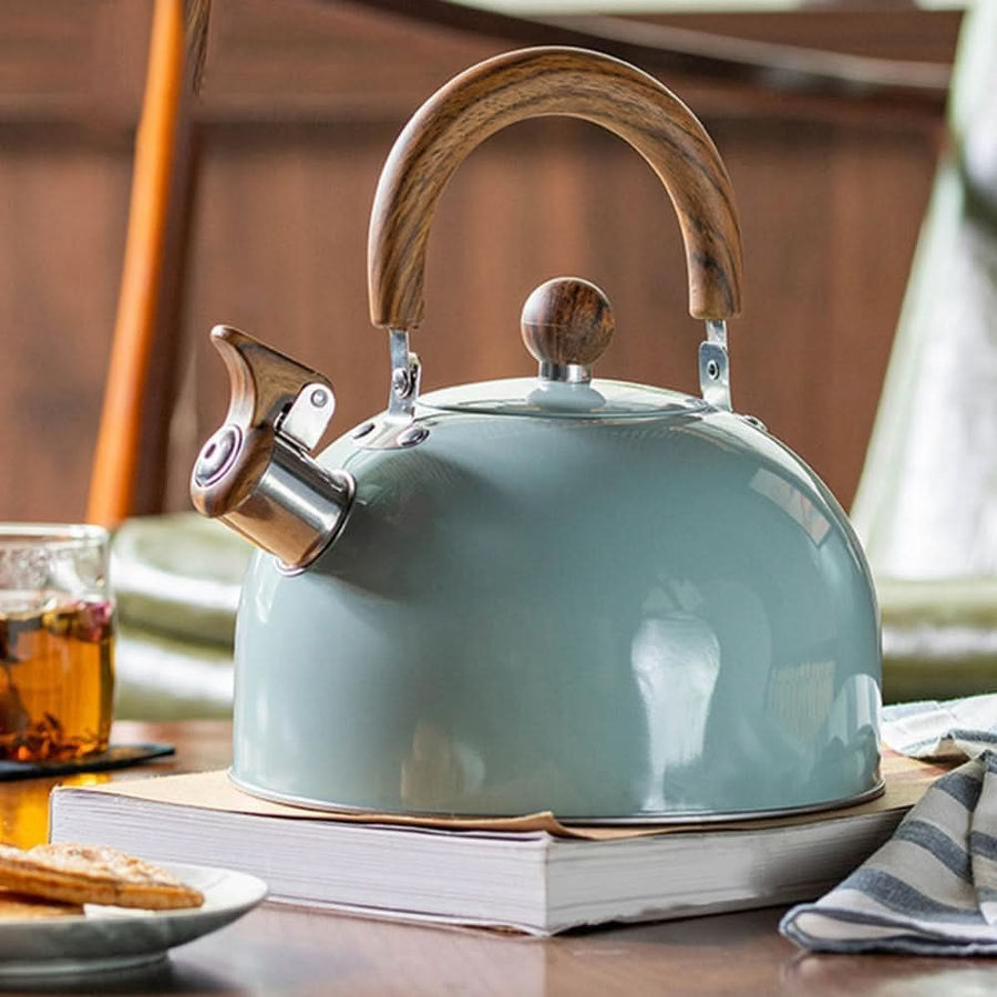 Stainless Steel Kettle 3L with Robust Structure and Soft Grip-Kitchen & Dining > Cookware-casanuva-Light Green 3L-casanuva