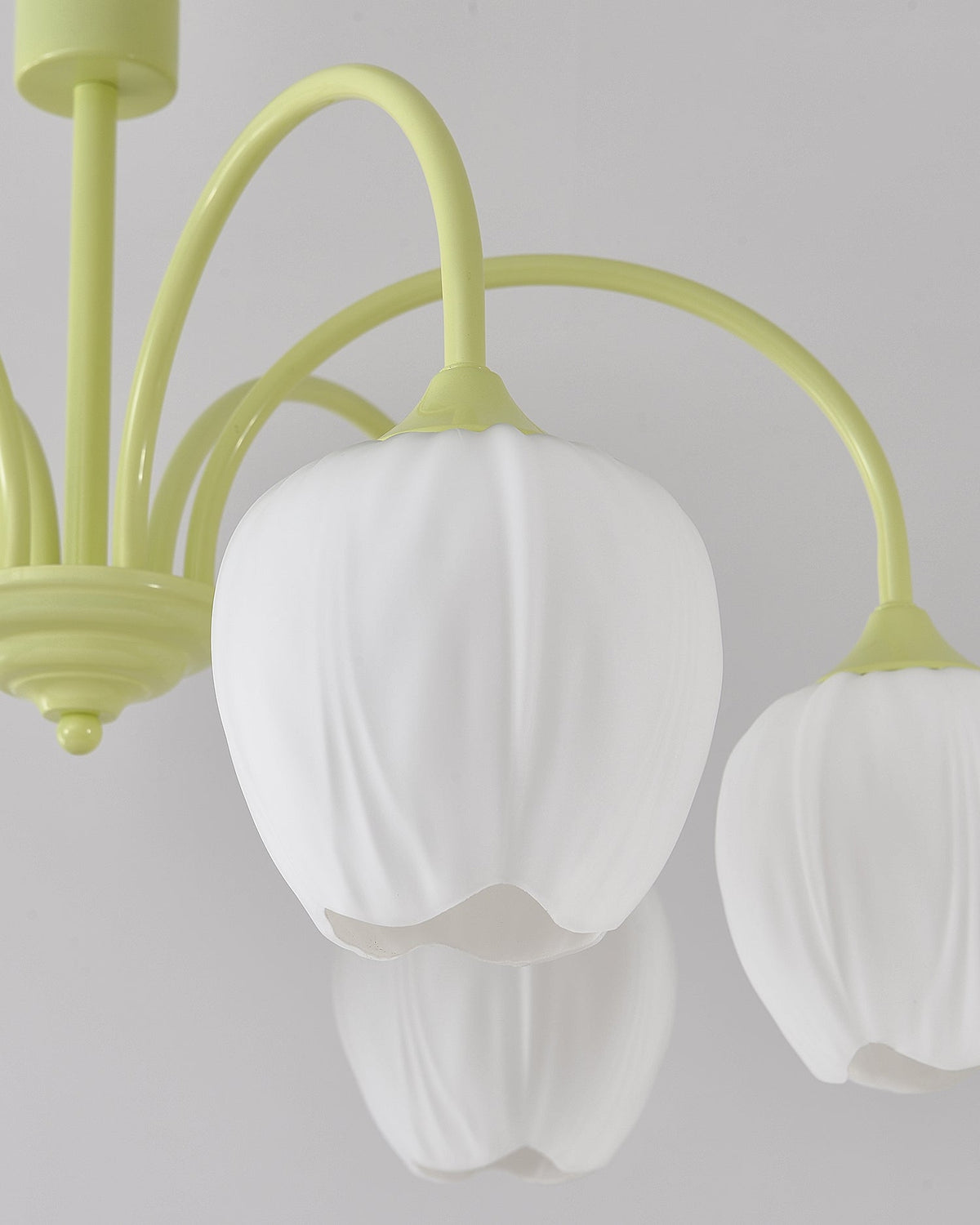 Tulip Matcha Chandelier Light Fixture-Lighting > Chandeliers & Pendant Lights-casanuva-casanuva