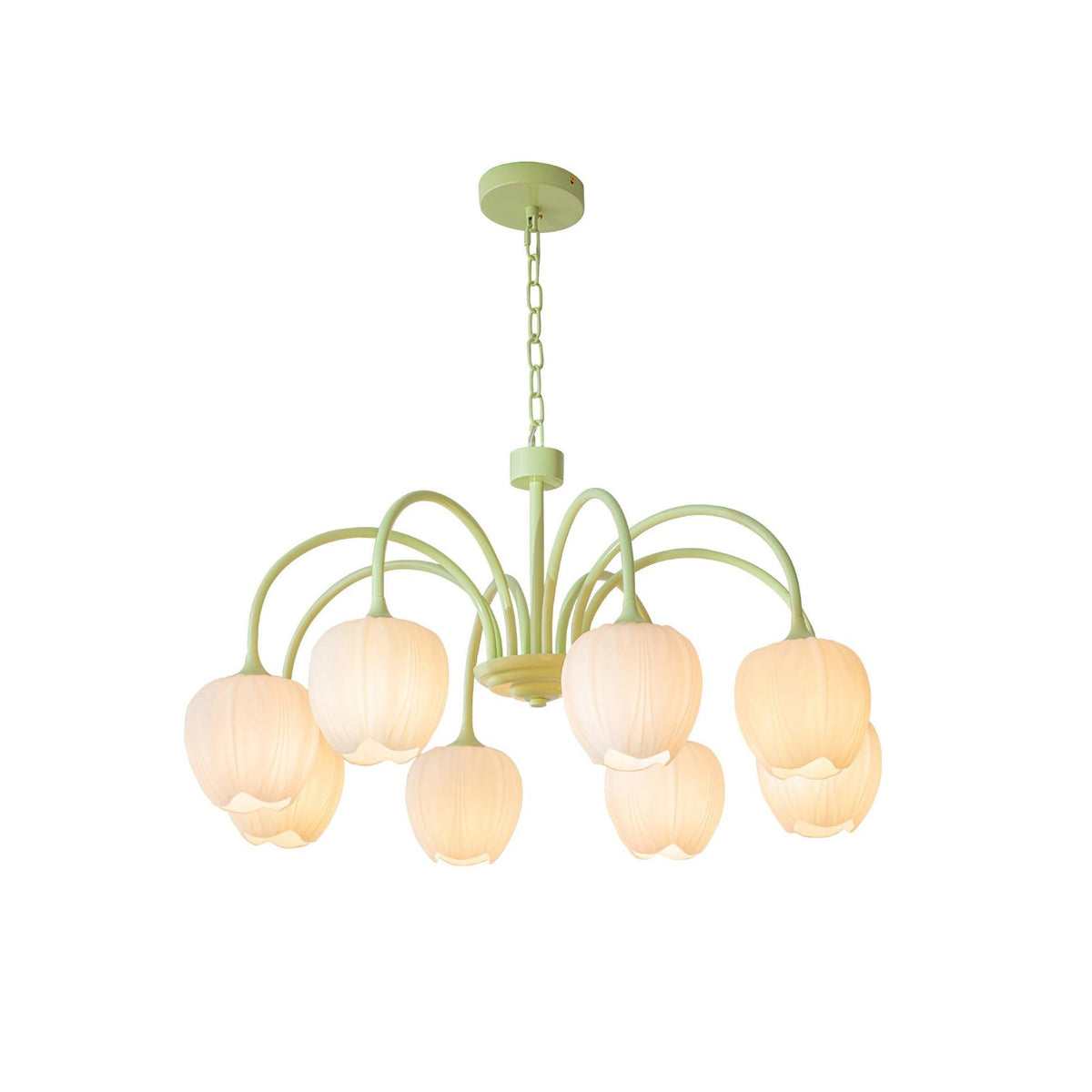 Tulip Matcha Chandelier Light Fixture-Lighting > Chandeliers & Pendant Lights-casanuva-casanuva