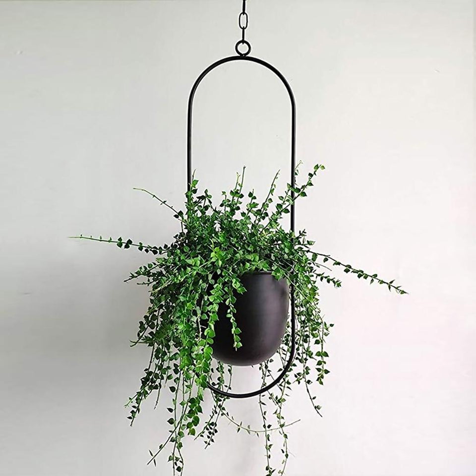 Wall Plant Hanger with Adjustable Chain for Minimalist Interior Design-Home Decor > Decorative Accessories-casanuva-Black-Oval-casanuva
