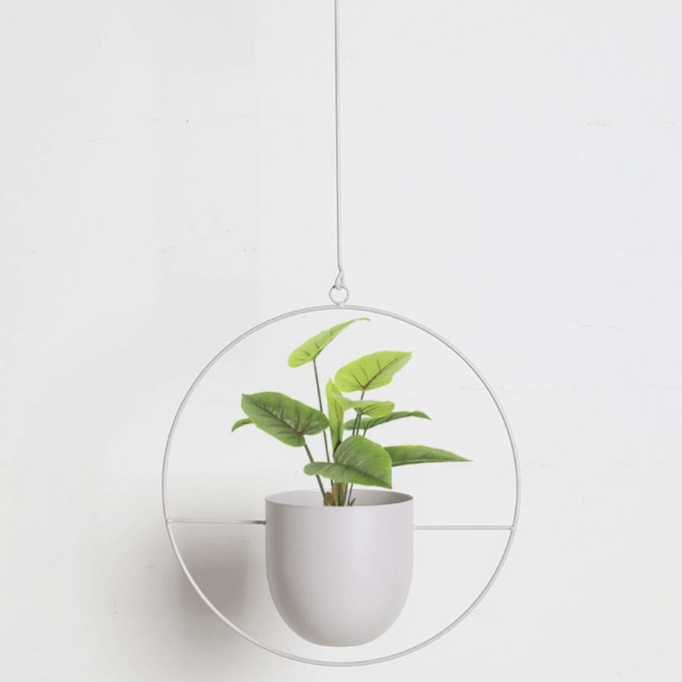 Wall Plant Hanger with Adjustable Chain for Minimalist Interior Design-Home Decor > Decorative Accessories-casanuva-Cream-Circle-casanuva