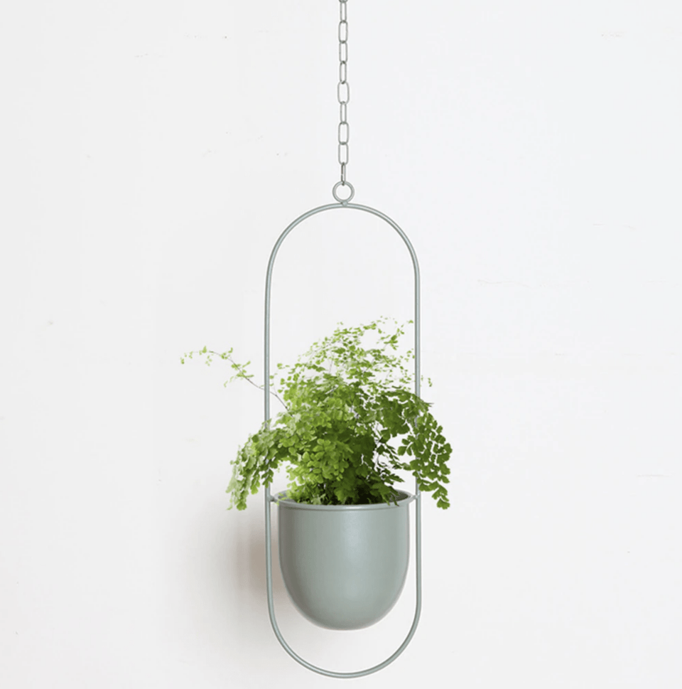 Wall Plant Hanger with Adjustable Chain for Minimalist Interior Design-Home Decor > Decorative Accessories-casanuva-Cream-Oval-casanuva