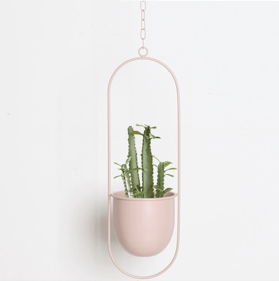 Wall Plant Hanger with Adjustable Chain for Minimalist Interior Design-Home Decor > Decorative Accessories-casanuva-Mint Green-Oval-casanuva