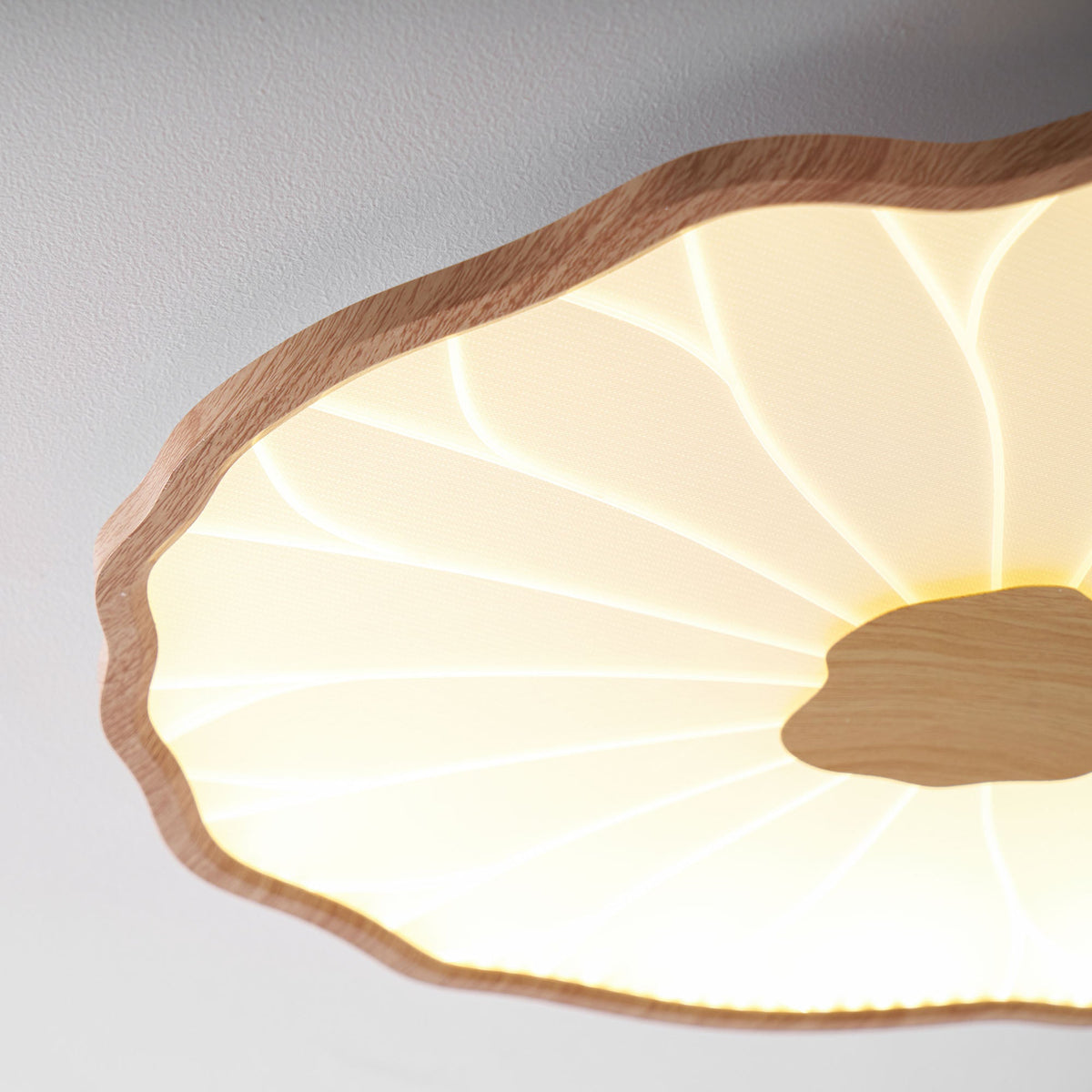 Acrylic Lotus Leaf Ceiling Lamp-Lighting > Ceiling Lights-casanuva-casanuva
