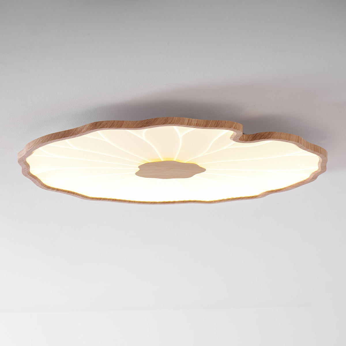 Acrylic Lotus Leaf Ceiling Lamp-Lighting > Ceiling Lights-casanuva-casanuva