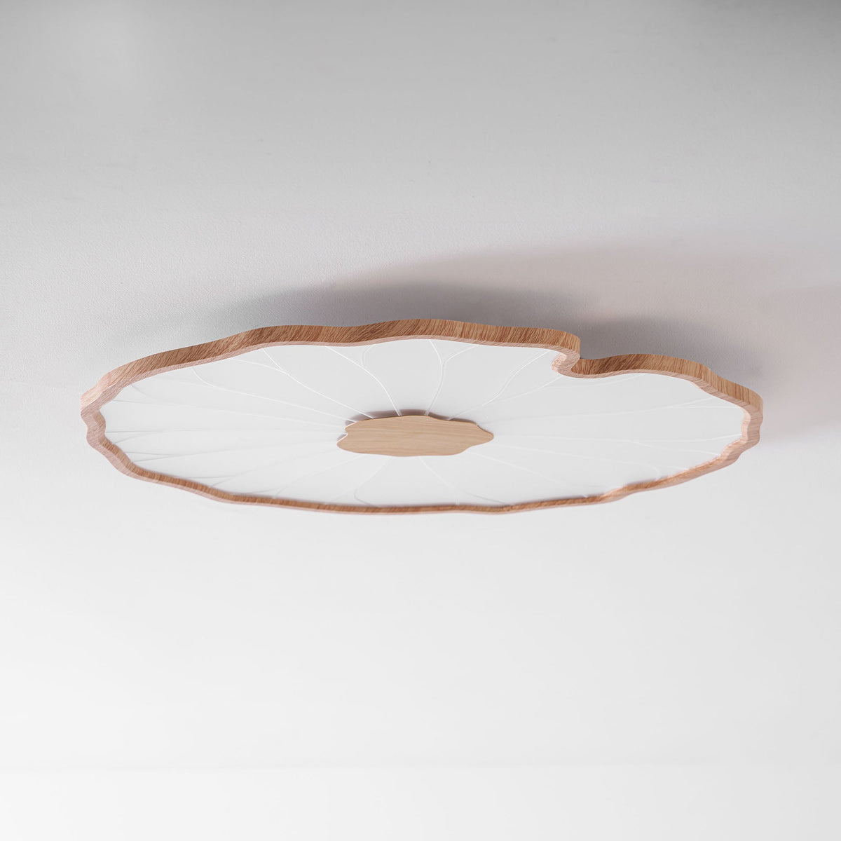 Acrylic Lotus Leaf Ceiling Lamp-Lighting > Ceiling Lights-casanuva-casanuva