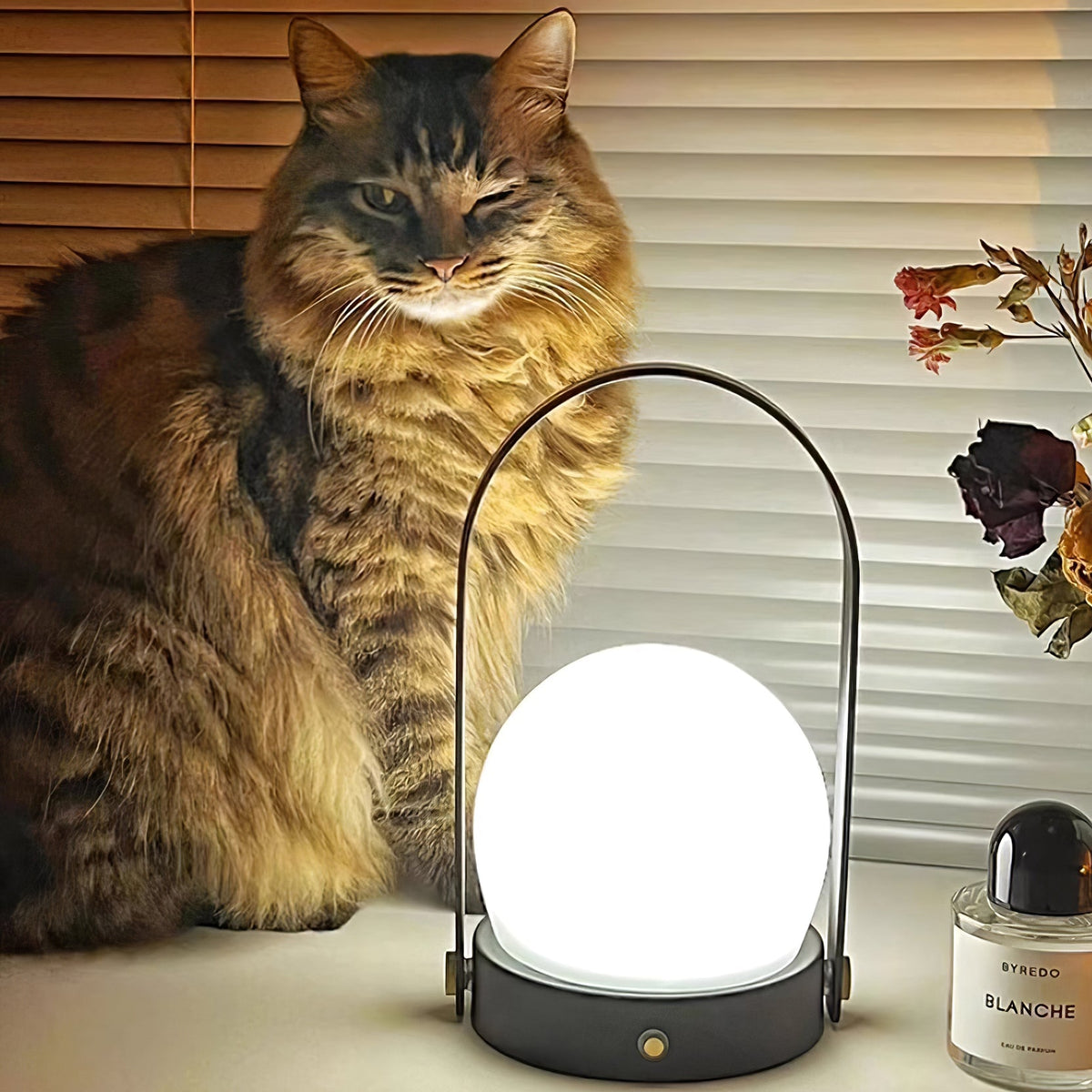 Battery Operated Table Lamp-Lighting > Table Lamps-casanuva-casanuva